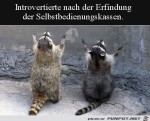 Die-Introvertierten.jpg auf www.funpot.net