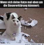 Katze-hat-die-Sache-erledigt.jpg auf www.funpot.net