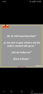 Kaninchen.jpg auf www.funpot.net