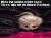 weiter