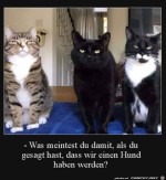 Was-willst-du-uns-sagen?.jpg auf www.funpot.net