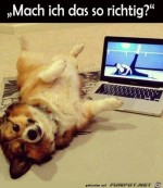 Ist-das-so-richtig?.jpg auf www.funpot.net