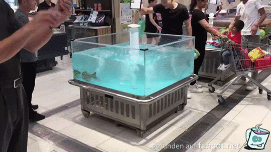 Frischer Fisch Frischer Fisch
