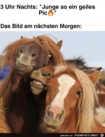 Super-Foto.jpg auf www.funpot.net