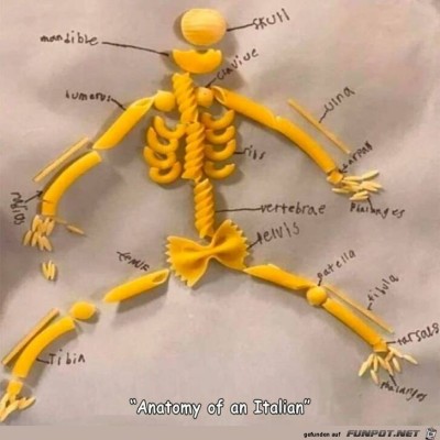 Anatomie.jpg von Ava