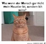 Was-ist,-wenn-der-Mensch-nicht-mein-Haustier-ist?.jpg auf www.funpot.net