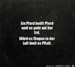 Fliegt-ein-Pferd-in-der-Luft.jpg auf www.funpot.net