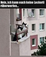 Wo-bleiben-die-Leckerlis?.jpg auf www.funpot.net