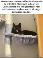 Das-wird-hart.jpg auf www.funpot.net