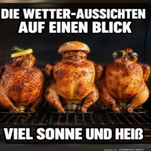 fun-Bild: Hitzewelle trifft Ofen: Huhn-Alarm!