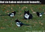 Eingeschleust.jpg auf www.funpot.net