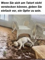 Ein-Opfer.jpg auf www.funpot.net