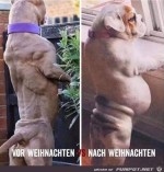 Vor-und-nach-Weihnachten.jpg auf www.funpot.net