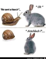 Gewonnen.jpg auf www.funpot.net