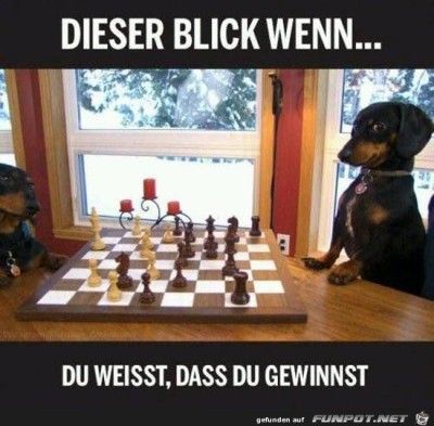 Dieser-Blick.jpg von Liz