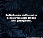 Gute-Erklrung-frs-fehlende-Haus.jpg auf www.funpot.net