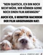 Ziemlich-mde.jpg auf www.funpot.net
