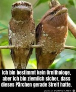 Die-hatten-Streit.jpg auf www.funpot.net