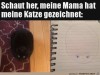 weiter