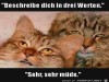 weiter