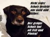 weiter