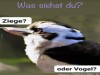 weiter