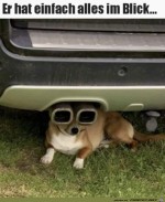 Vollen-Durchblick.jpg auf www.funpot.net