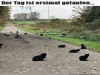 weiter