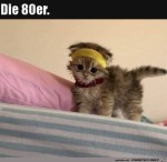 Ktzchen-aus-den-80ern.jpg auf www.funpot.net