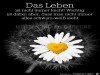 weiter