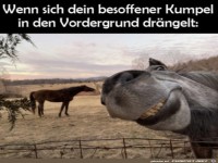 Vorgedr�ngelt