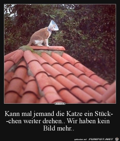 Kein-Bild-mehr!.jpg von Sia