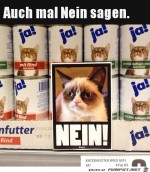Einfach-mal-nein-sagen.jpg auf www.funpot.net