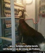 unsere-Techniker.jpg auf www.funpot.net