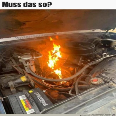 Muss-das-so?.jpg von Tillmann