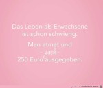 Das-Leben-als-Erwachsene.jpg auf www.funpot.net