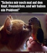 Gesprch-unter-Tieren.jpg auf www.funpot.net