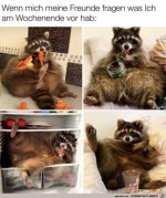Wochenende-war-gut.jpg auf www.funpot.net