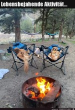 Hunde-chillen.jpg auf www.funpot.net