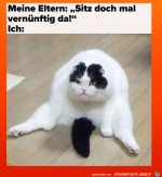 Sitz-doch-mal-ordentlich-hin.jpg auf www.funpot.net