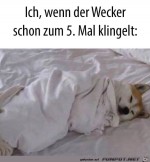 Wenn-der-Wecker-klingelt.jpg auf www.funpot.net
