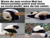 weiter