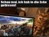 weiter