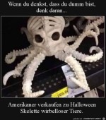 Wirbellose-Skelette.jpg auf www.funpot.net