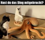 Was-soll-das-denn-sein?.jpg auf www.funpot.net