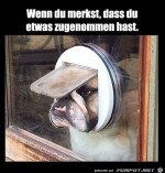 Etwas-dicker-geworden.jpg auf www.funpot.net