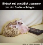 Gemtlich-fernsehen.jpg auf www.funpot.net