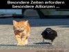weiter