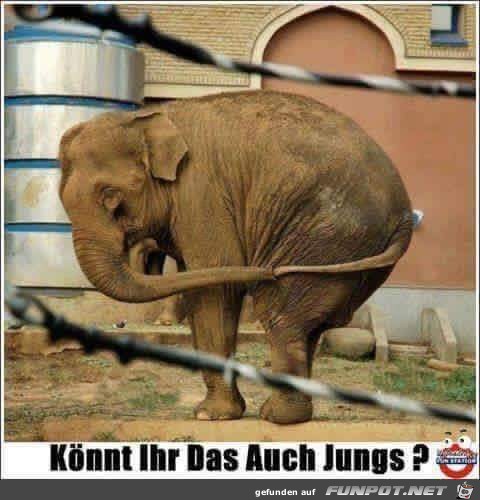 koennt ihr das auch, Jungs? koennt ihr das auch, Jungs?