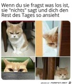 Es-ist-nichts.jpg auf www.funpot.net